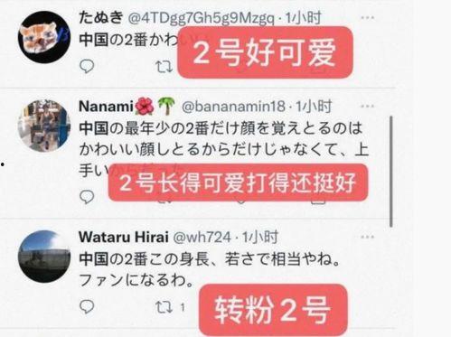 山东最近爆料新闻视频,视频揭露惊人真相，引发社会关注  第3张