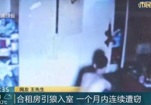 引狼入室在线观看  第2张