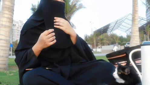 娱乐吃瓜君9,揭秘娱乐圈最新热点事件